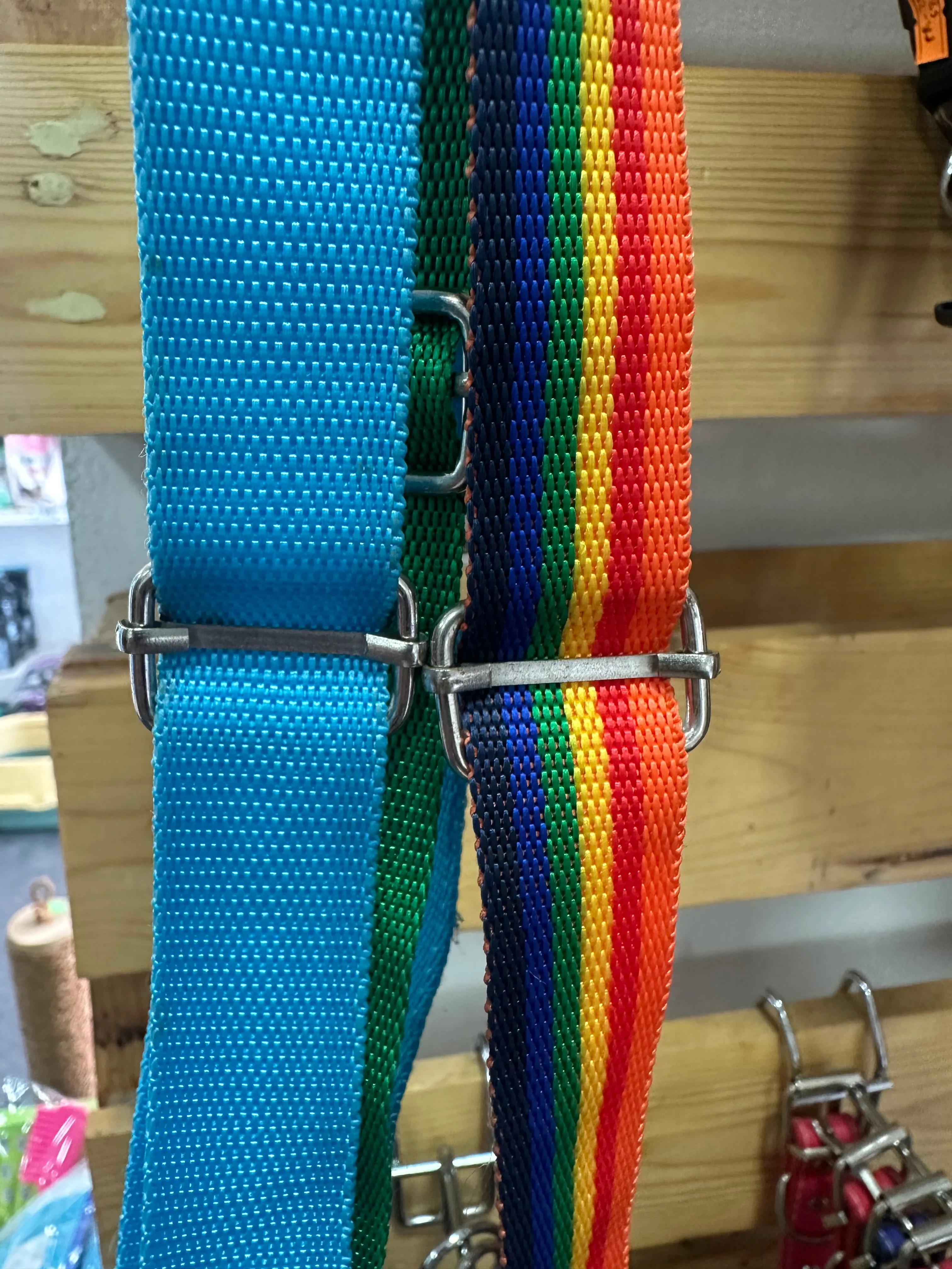 Adjustable Dog Collar for Medium & Large Breeds