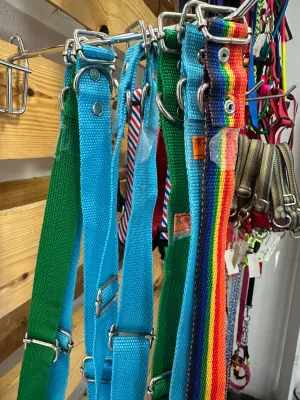 Adjustable Dog Collar for Medium & Large Breeds