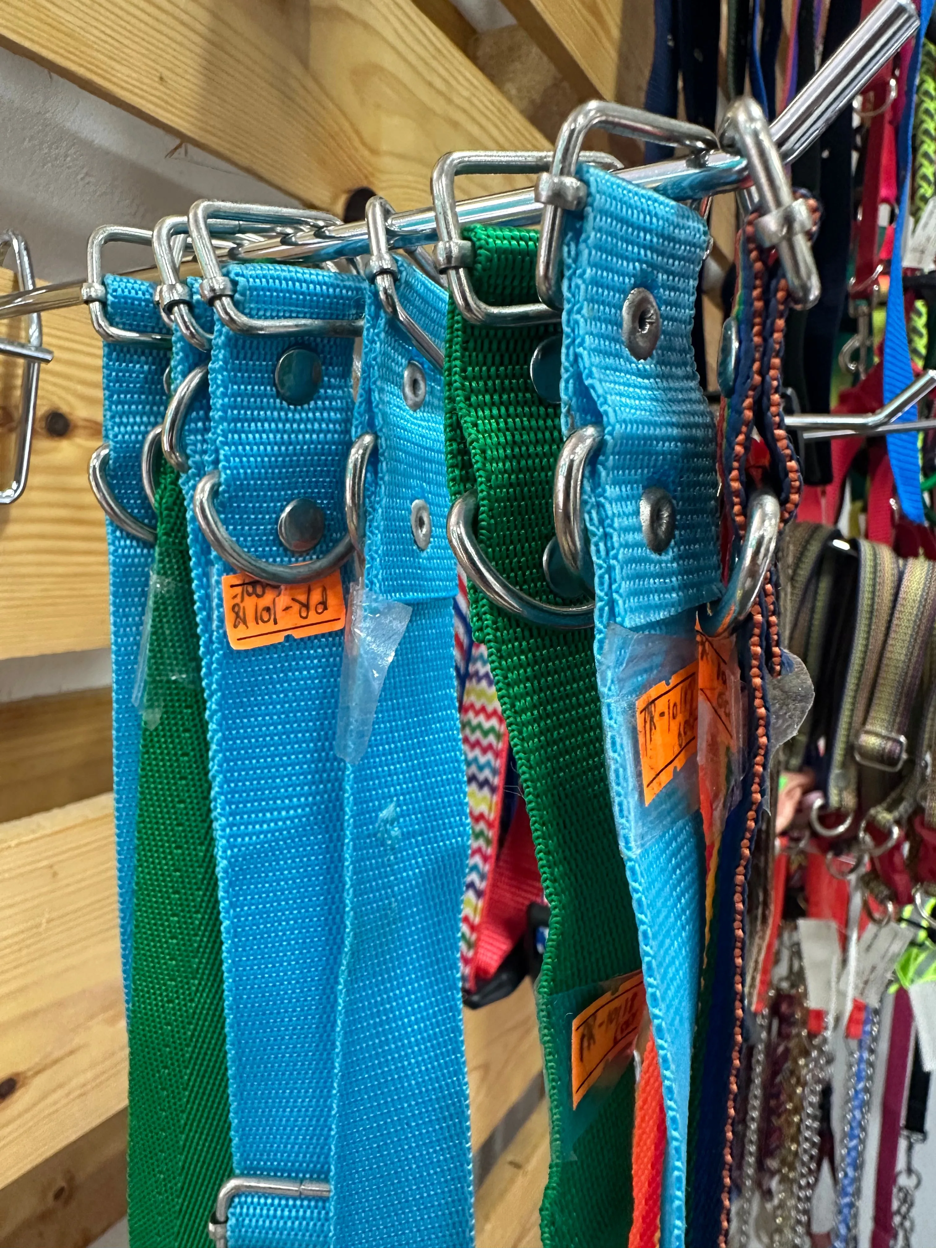 Adjustable Dog Collar for Medium & Large Breeds