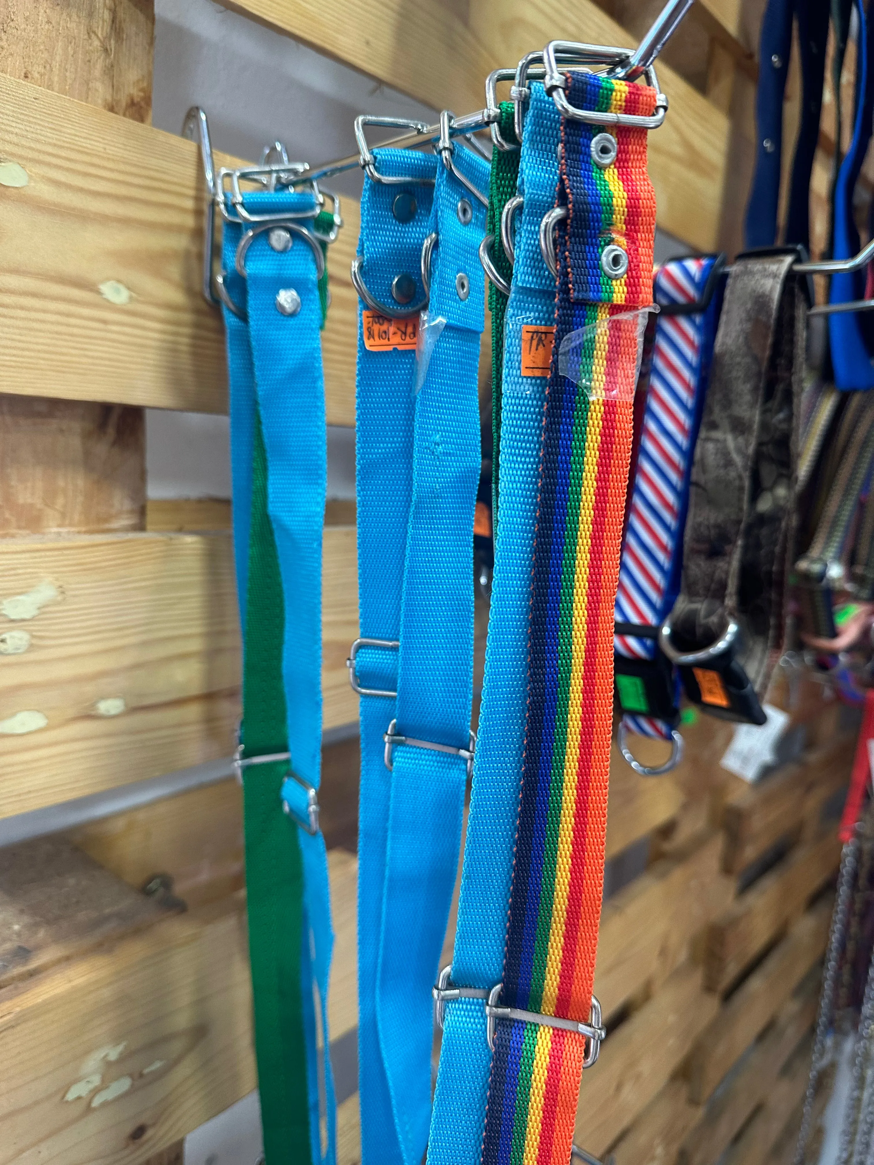 Adjustable Dog Collar for Medium & Large Breeds