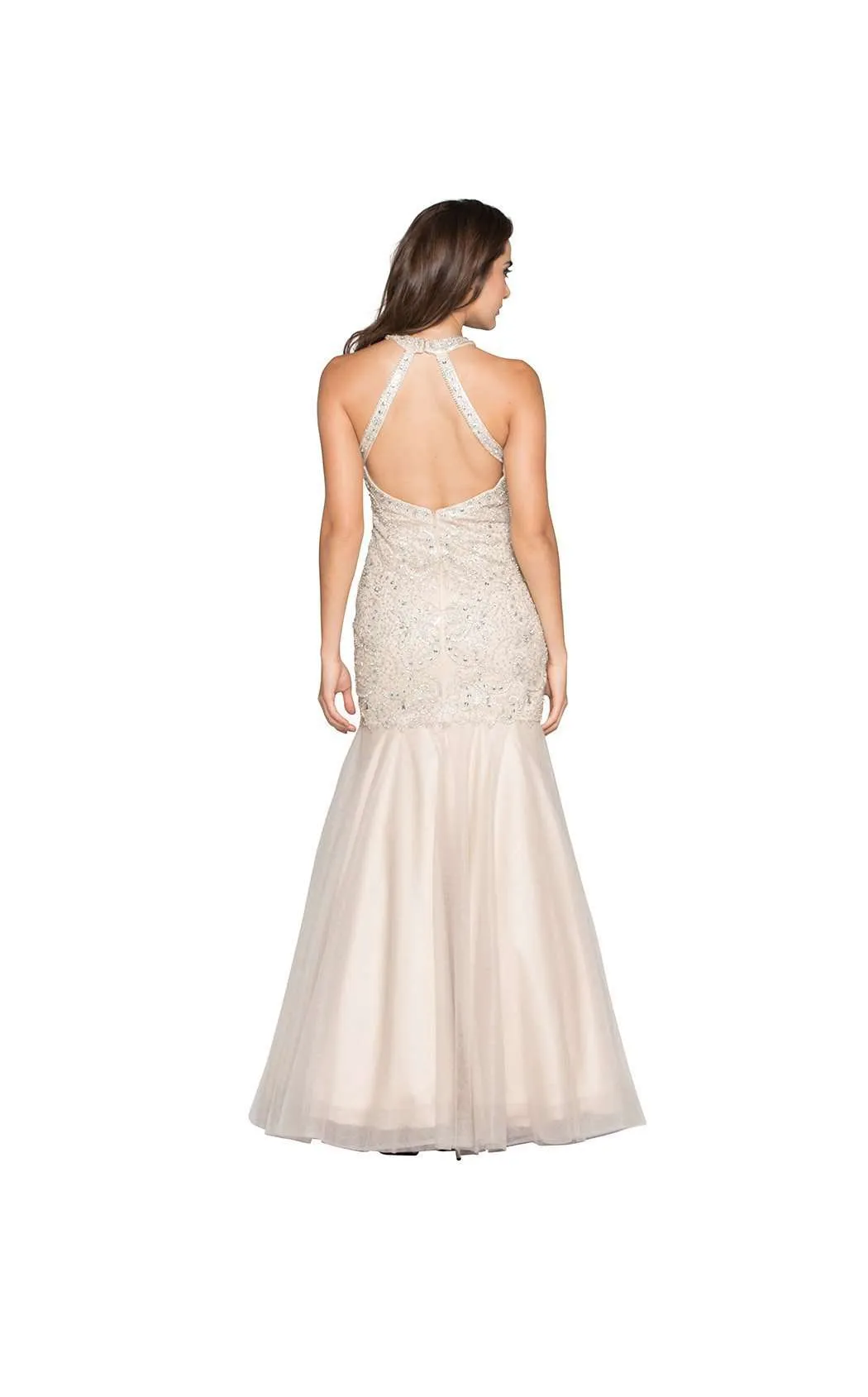 Colors Dress 1877 Dress