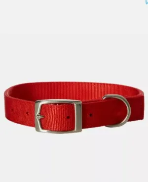 Delicate Dog Collar with Metal Buckle for Medium & Large Breeds