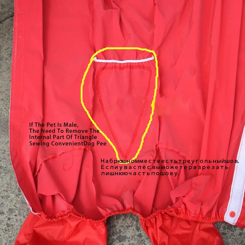 LOYAL Large Dog Rain Coat