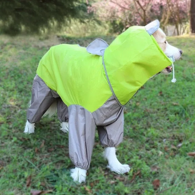LOYAL Large Dog Rain Coat