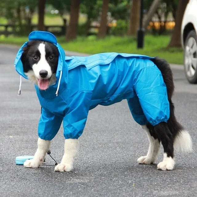 LOYAL Large Dog Rain Coat