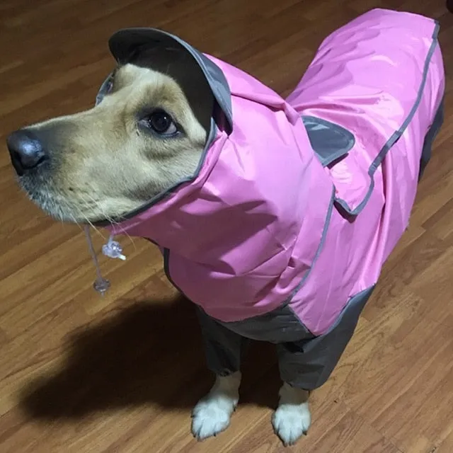 LOYAL Large Dog Rain Coat