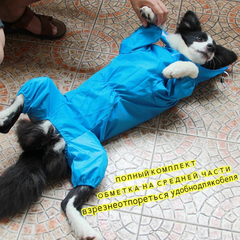LOYAL Large Dog Rain Coat