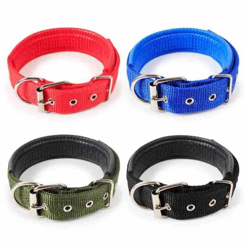 Padded Nylon Collar