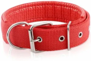Padded Nylon Collar