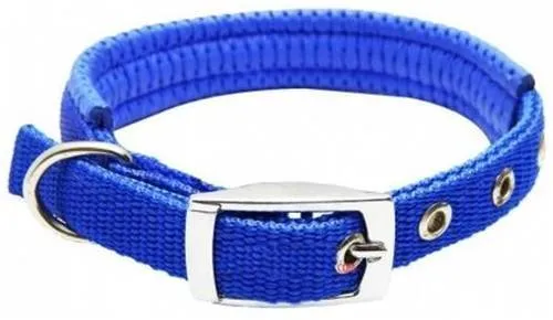 Padded Nylon Collar