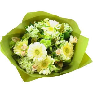 Spring Pure
