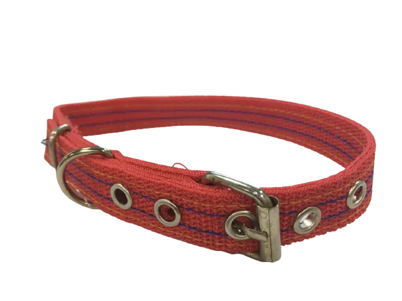 Threaded Dog Collar with Buckle for Medium Breeds